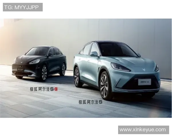 上海滑板队状态对比深度解析与未来发展趋势探讨