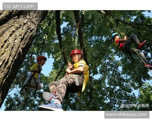 攀岩技术实力榜单权威发布引领攀岩新时代的竞技风潮与发展趋势 攀岩技术实力榜单权威发布引领攀岩新时代的竞技风潮与发展趋势